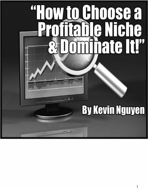 Product picture Learn how to dominate a profitable niche